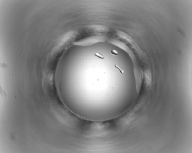 X0000091180613200708091223