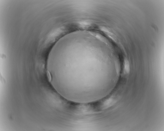 X0000091180615200708091223