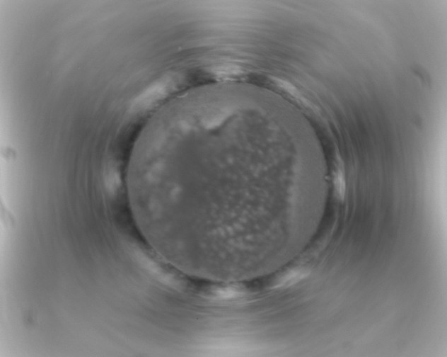X0000091180618200708091223