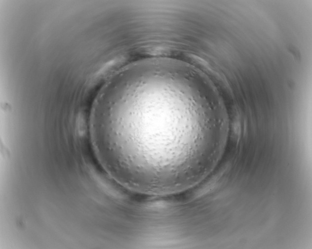 X0000091180620200708091223