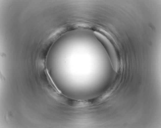X0000091180621200708091223