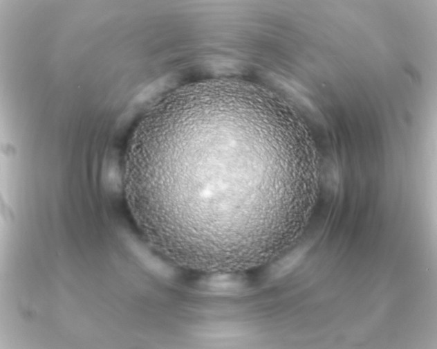 X0000091180622200708091223