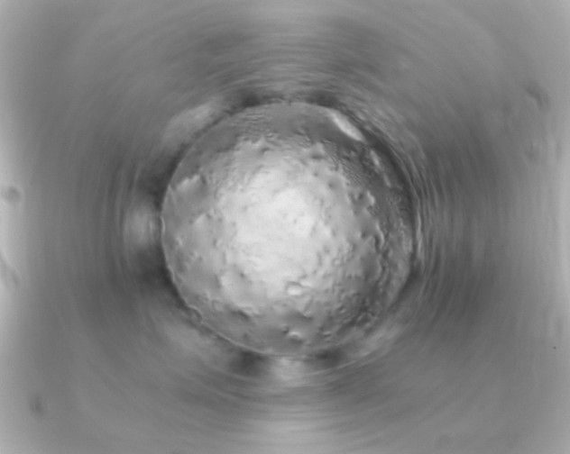 X0000091180623200708091223