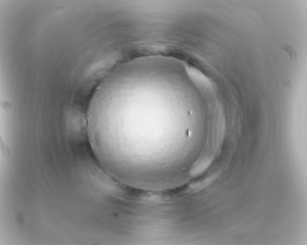 X0000091180624200708091223