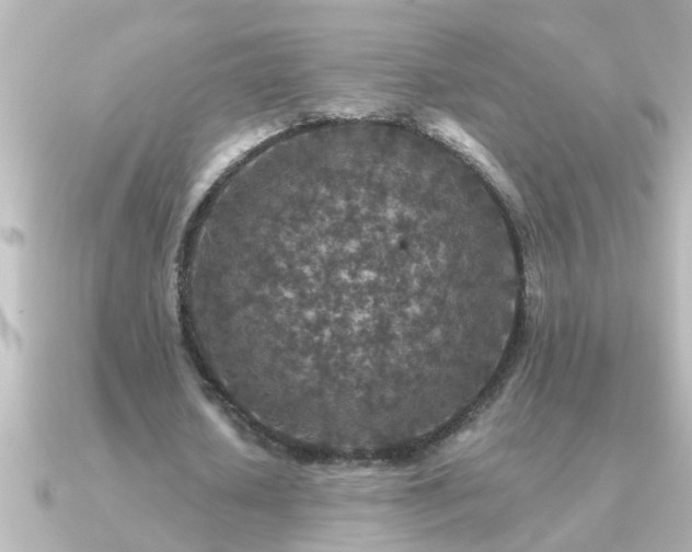 X0000091180626200708091222