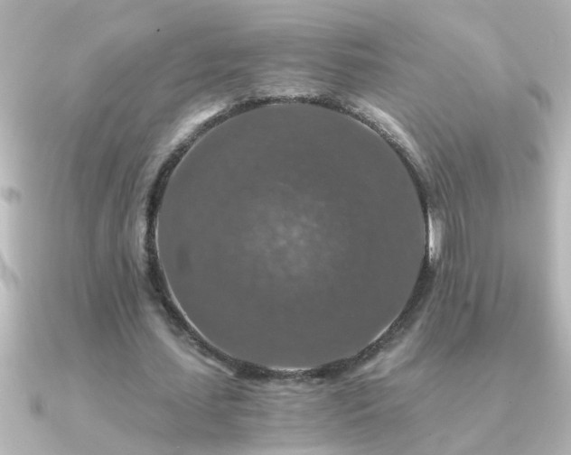 X0000091180627200708091222