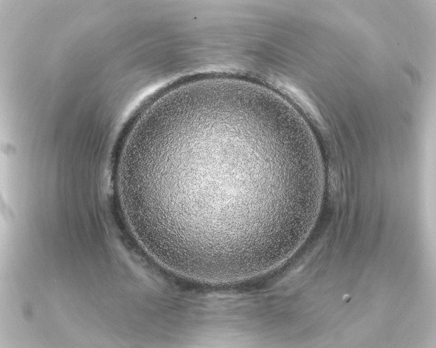 X0000091180628200708091222