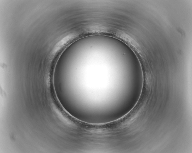 X0000091180629200708091222