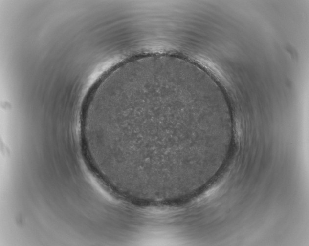 X0000091180630200708091222