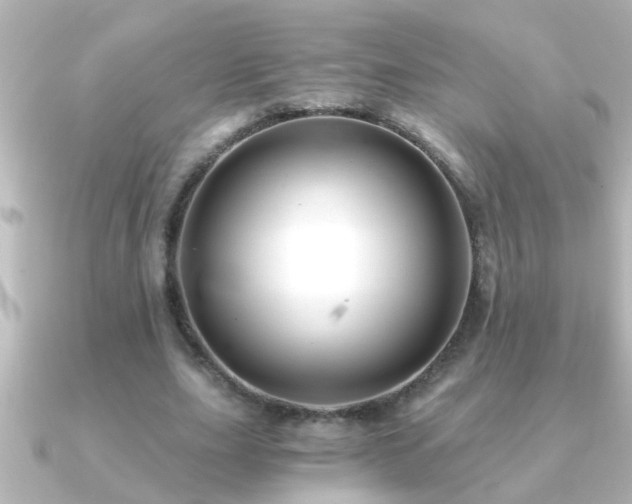 X0000091180631200708091222