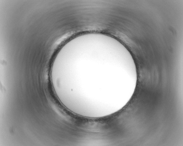 X0000091180632200708091222