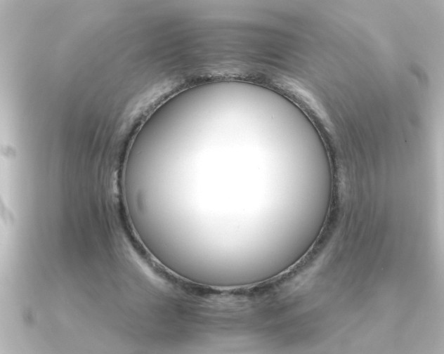 X0000091180633200708091222