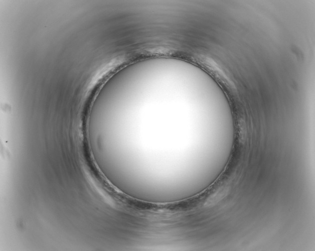 X0000091180634200708091223