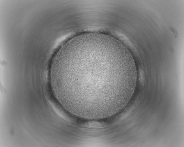 X0000091180636200708091223