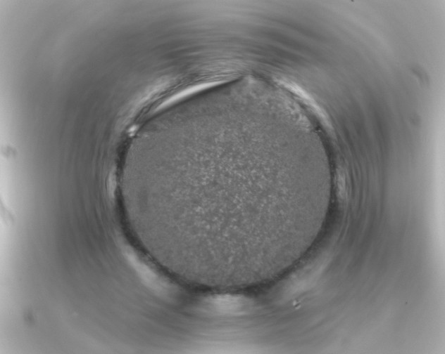 X0000091180637200708091223