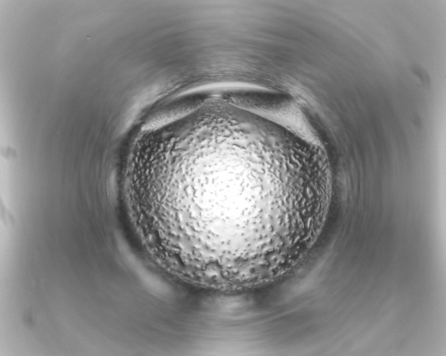 X0000091180638200708091223