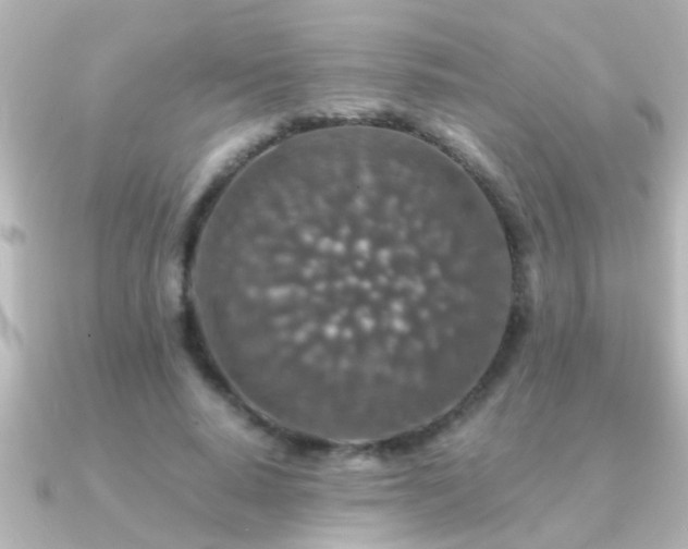 X0000091180640200708091223