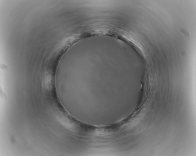 X0000091180641200708091223