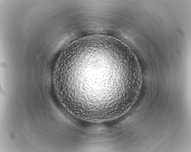 X0000091180642200708091223