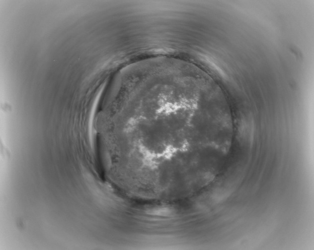 X0000091180643200708091223