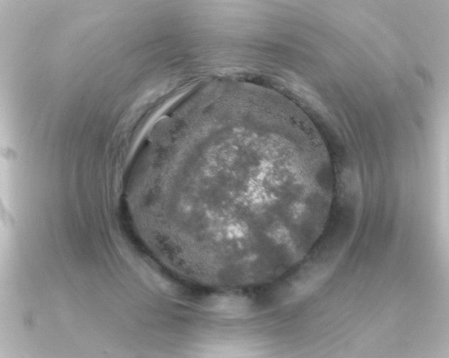 X0000091180644200708091223