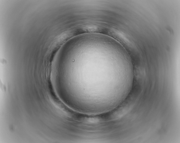 X0000091180645200708091223