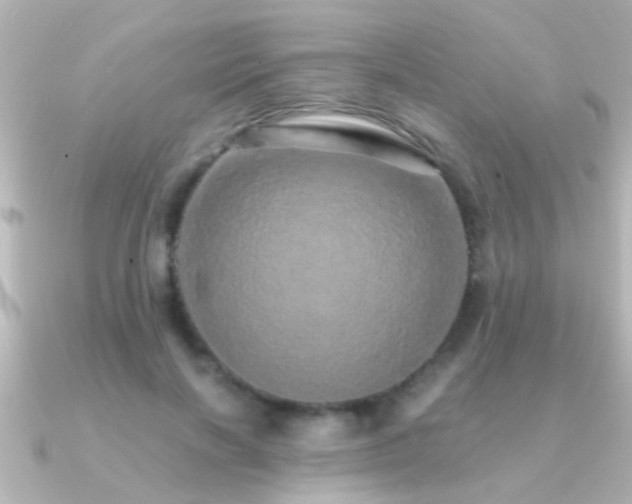 X0000091180646200708091223