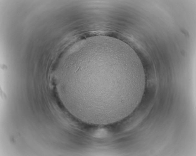X0000091180647200708091223