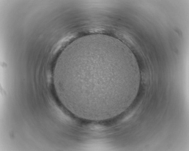X0000091180648200708091223