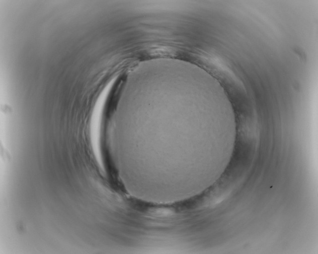 X0000091180649200708091223
