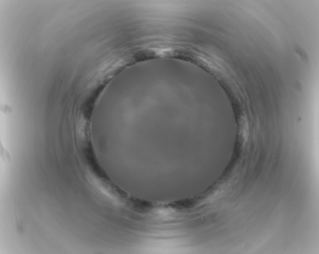 X0000091180650200708091223