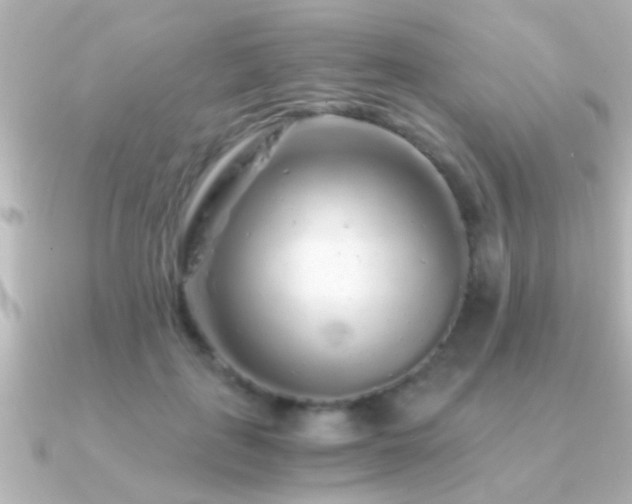 X0000091180651200708091223