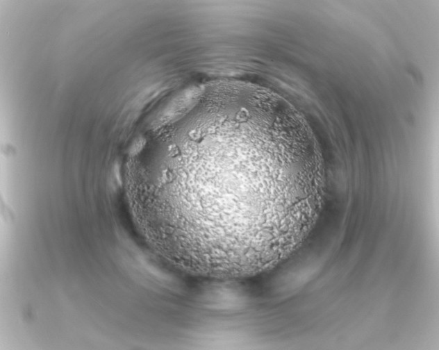 X0000091180652200708091223
