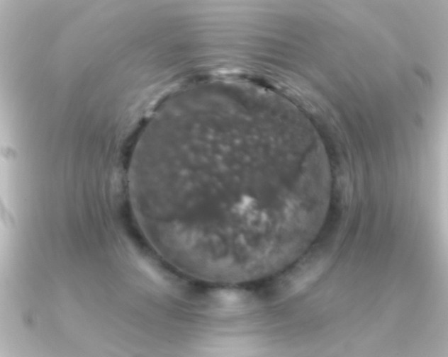 X0000091180654200708091223