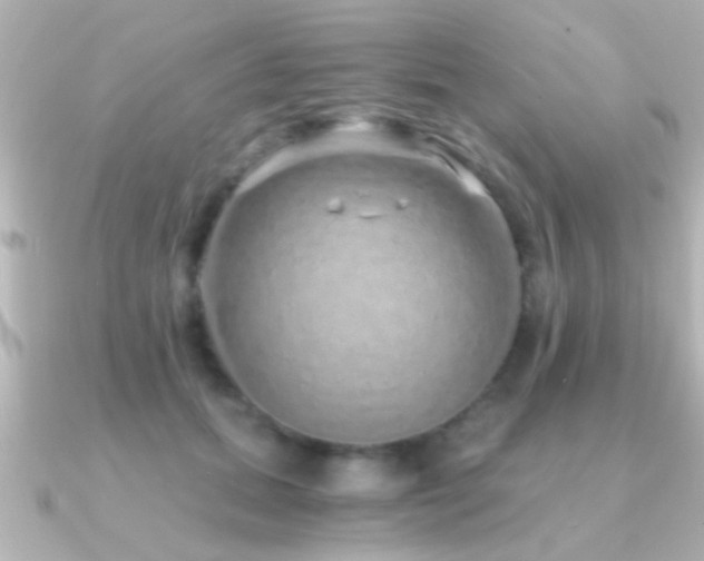 X0000091180655200708091223
