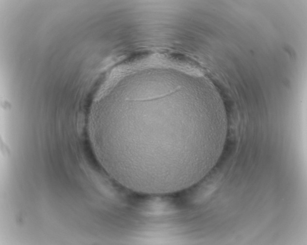 X0000091180656200708091223