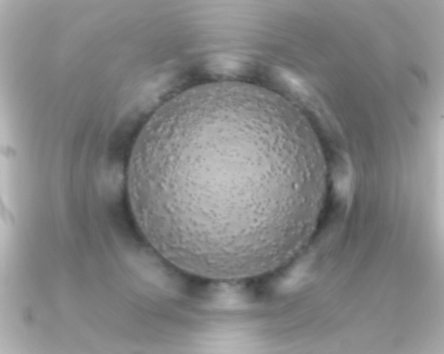 X0000091180660200708091223