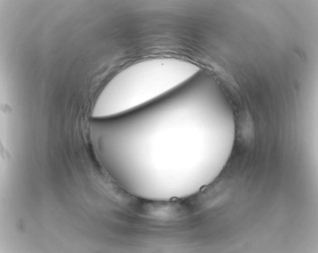 X0000091180661200708091223