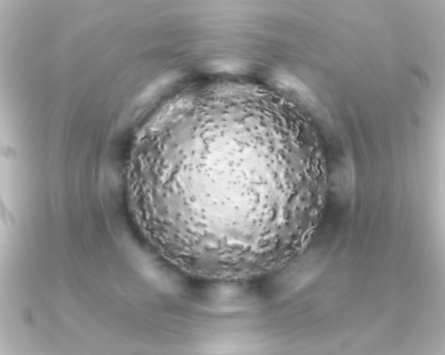 X0000091180662200708091223