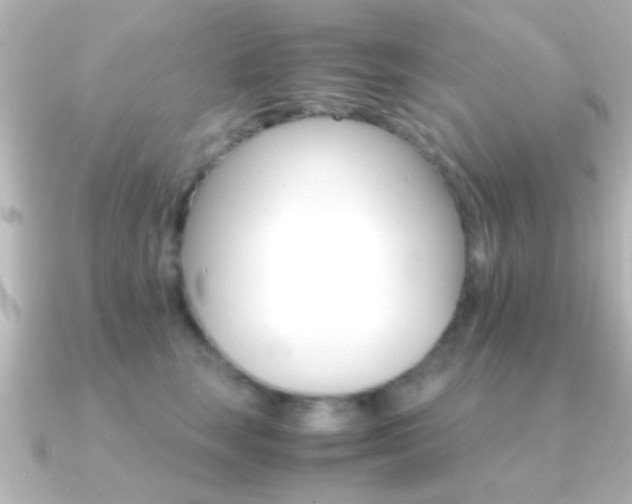 X0000091180663200708091223