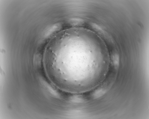 X0000091180664200708091223