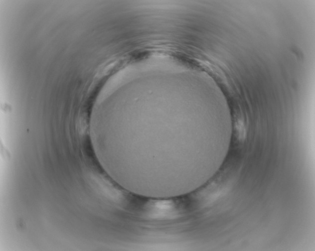X0000091180665200708091223