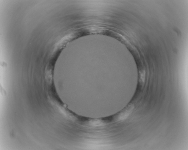 X0000091180666200708091223
