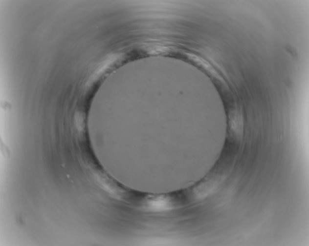 X0000091180667200708091223
