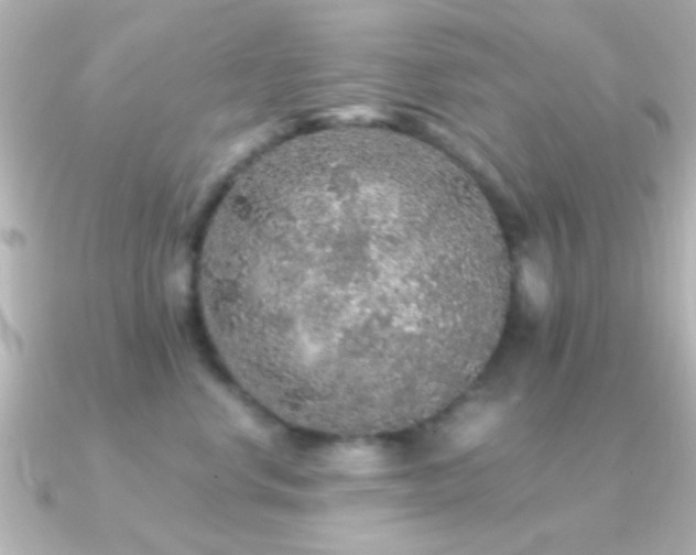 X0000091180668200708091223