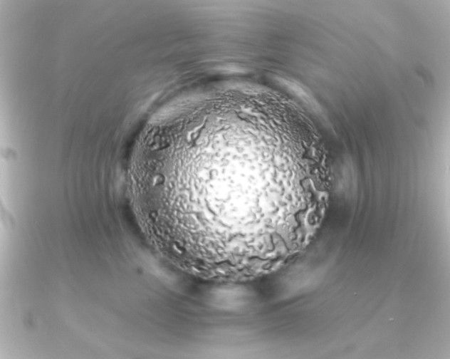 X0000091180669200708091223