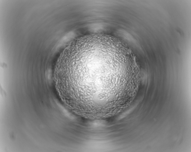 X0000091180670200708091223