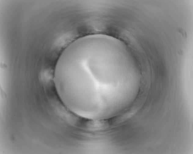 X0000091180672200708091223