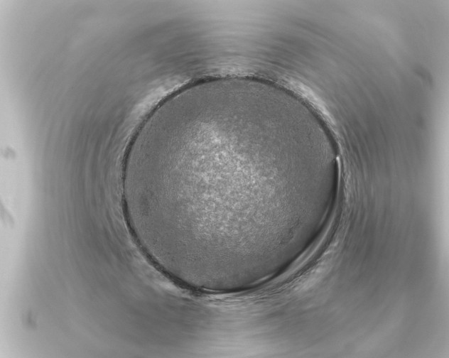 X0000091180673200708091222