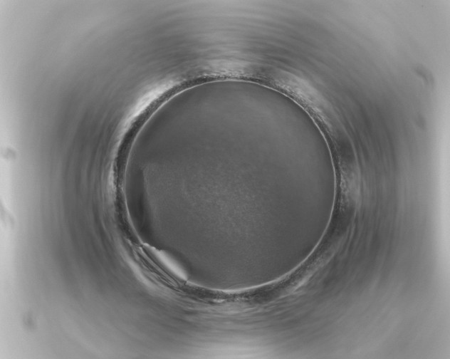 X0000091180674200708091222